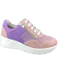SOLIDUS - Schoenen ,Veelkleurig ,Casual Sneaker Schoenen - Lyst
