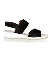 Gabor - Schoenen ,Zwart ,Suède Suède Sandaal Met Riemgesp - Lyst