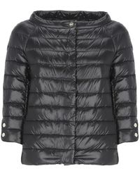 Herno - Jassen ,Zwart ,Down Jassen - Lyst