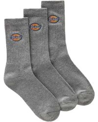 Dickies - Sokken - Lyst