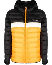Champion - Jassen ,Veelkleurig ,Leer Gewatteerde Jas Met Capuchon - Lyst