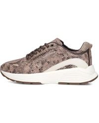 Xsensible - Schoenen ,Bruin ,Leer Bailey Sneakers - Lyst