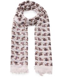 Hemisphere - Winter Scarves - Lyst