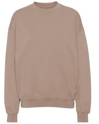 COLORFUL STANDARD - Sweatshirts - Lyst