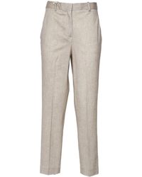 Circolo 1901 - Chinos - Lyst