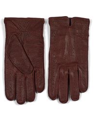 Howard London - Gloves - Lyst