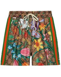 Gucci Shorts - Bruin