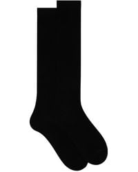 Gallo - Langer Socken - Lyst