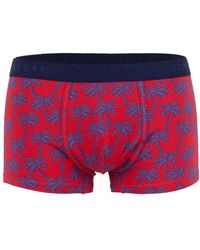 Gallo - Rote Baumwollboxershorts Für Herren Mit Palmenmuster - Lyst