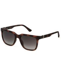 Police - Lite 6 sonnenbrille matt havanna grau - Lyst