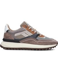 Floris Van Bommel - Taupe Low-Top Sneakers Für Herren - Lyst