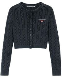 Alexander Wang - Stilvolle Pullover Kollektion - Lyst