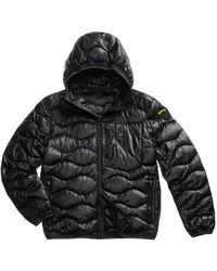 Blauer - Jassen ,Zwart ,Zwarte Gewatteerde Donsjas Aw 25 - Lyst