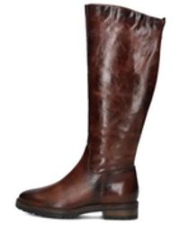 Notre-v - Schoenen ,Bruin ,Elegante Cognac Hoge Laarzen 2Body 304 - Lyst