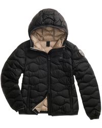 Blauer - Jassen ,Zwart ,Camelia Kort Gewatteerd Jack - Lyst