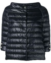 Herno - Gewatteerde Jassen - Lyst