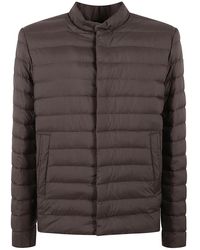 Herno - Jassen ,Bruin ,Suède Gewatteerde Winterjas - Lyst