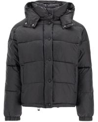 Pinko - Winter Jackets - Lyst