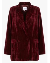 Suncoo - Samt blazer mit taillierter passform - Lyst