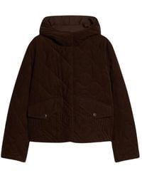 Pennyblack - Light Jackets - Lyst