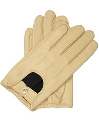 Kazar - Accessoires ,Leer Gladleren Autohandschoenen - Lyst