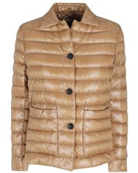 Herno - Jassen ,Bruin ,Kort Donsjack - Lyst