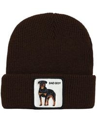 Goorin Bros - Animal Farm Beanie Mütze Braun - Lyst