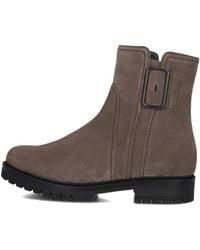 Gabor - Taupe Wildleder Stiefeletten - Lyst