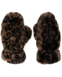 Apparis - Accessoires ,Bruin ,Leopard Motief Bruine Ecofur Handschoenen Vrouw - Lyst