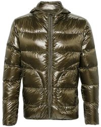 Herno - Gewatteerde Donsjack Met Capuchon - Lyst