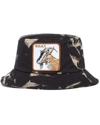 Goorin Bros - Accessories - Lyst