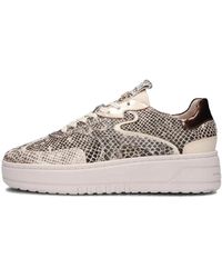 Haboob - Schlangenmuster Low Top Sneakers - Lyst