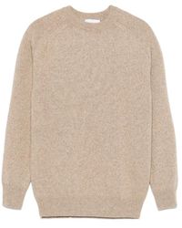 Lardini - Kasjmier Trui - Lyst