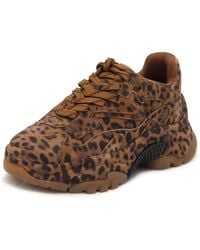 Ash - Addict Bis Wild Suede Leopardo - Lyst