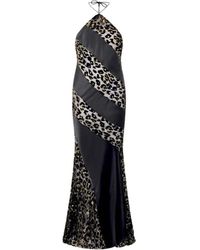 Roberto Cavalli - Gowns - Lyst