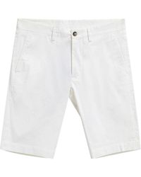 Dolce & Gabbana - Stretch Cotton Bermuda Shorts - Lyst