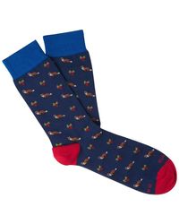 chaussettes gallo