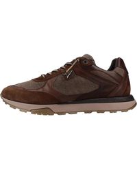 Cetti - Schoenen ,Bruin ,Suède Inv 27 Deportivo Ante Knitting - Lyst
