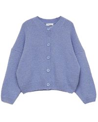 Rodebjer - Truien & Vesten ,Paars ,Wol Zachte Alpaca Cardigan Voor Herfstdagen - Lyst
