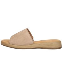 Gabor - 730 Mules - Lyst