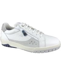 Fluchos - Sneakers - Lyst