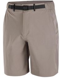 Salomon - Fitness ,Bruin ,Polyester Wayfarer 2.0 Shorts - Lyst