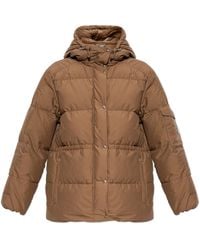 Moncler - Jassen ,Bruin ,Katoen Himalaya Donsjack - Lyst