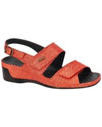 Vital - 216505 Tina - Lyst