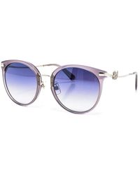 Swarovski - Accessoires ,Veelkleurig ,Cat Eye Acetaat Zonnebril - Lyst