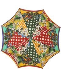 Dolce & Gabbana - Umbrellas - Lyst