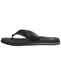Reef - The Layback - Lyst