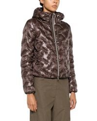 Herno - Jassen ,Bruin ,Down Jassen - Lyst