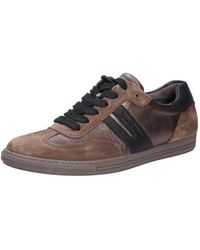 Paul Green - Velours Schnürsneaker Für Damen - Lyst