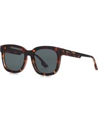 Komodo - Accessoires ,Bruin ,Bruine Chique Zonnebril Sienna Stijl - Lyst